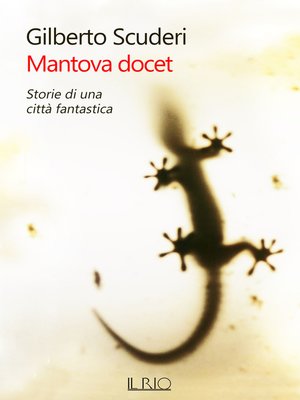 cover image of MANTOVA DOCET